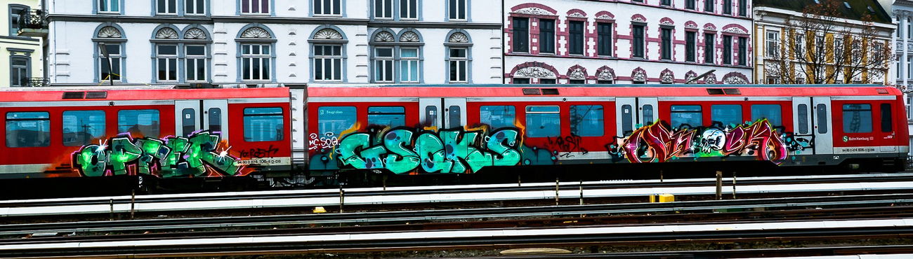 Graffiti Train - Photo by pilotpirx - train, db, sbahn