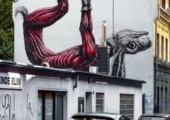 Graffiti Street Art - Photo by pilotpirx - roa, köln, ehrenfeld