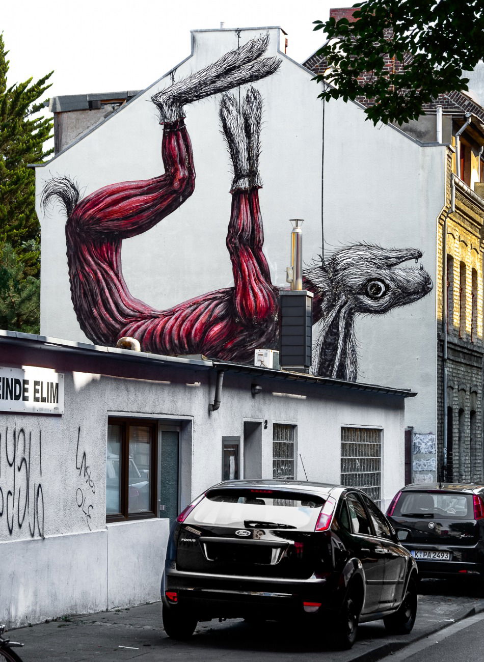 Graffiti Street Art - Photo by pilotpirx - roa, köln, ehrenfeld