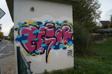 Graffiti Wall - Photo by pimmelpirat - taol, ris, sack