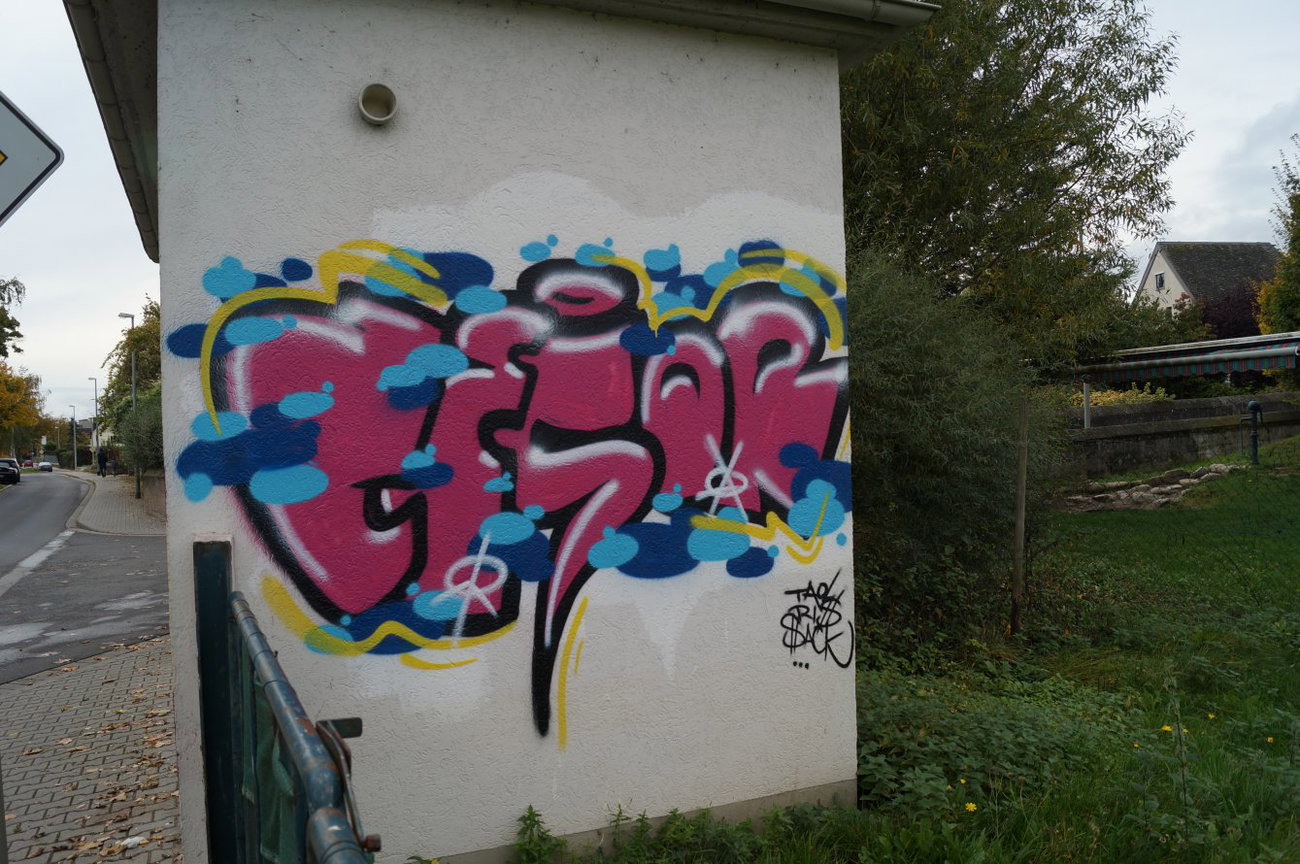 Graffiti Wall - Photo by pimmelpirat - taol, ris, sack