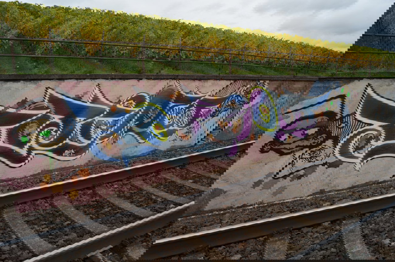 Graffiti Wall - Photo by pimmelpirat - ozf, topc