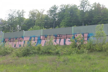 Graffiti Bombing - Photo by pimmelpirat