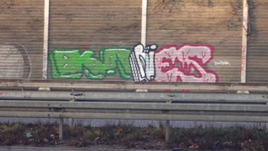 Graffiti Bombing - Photo by pimmelpirat