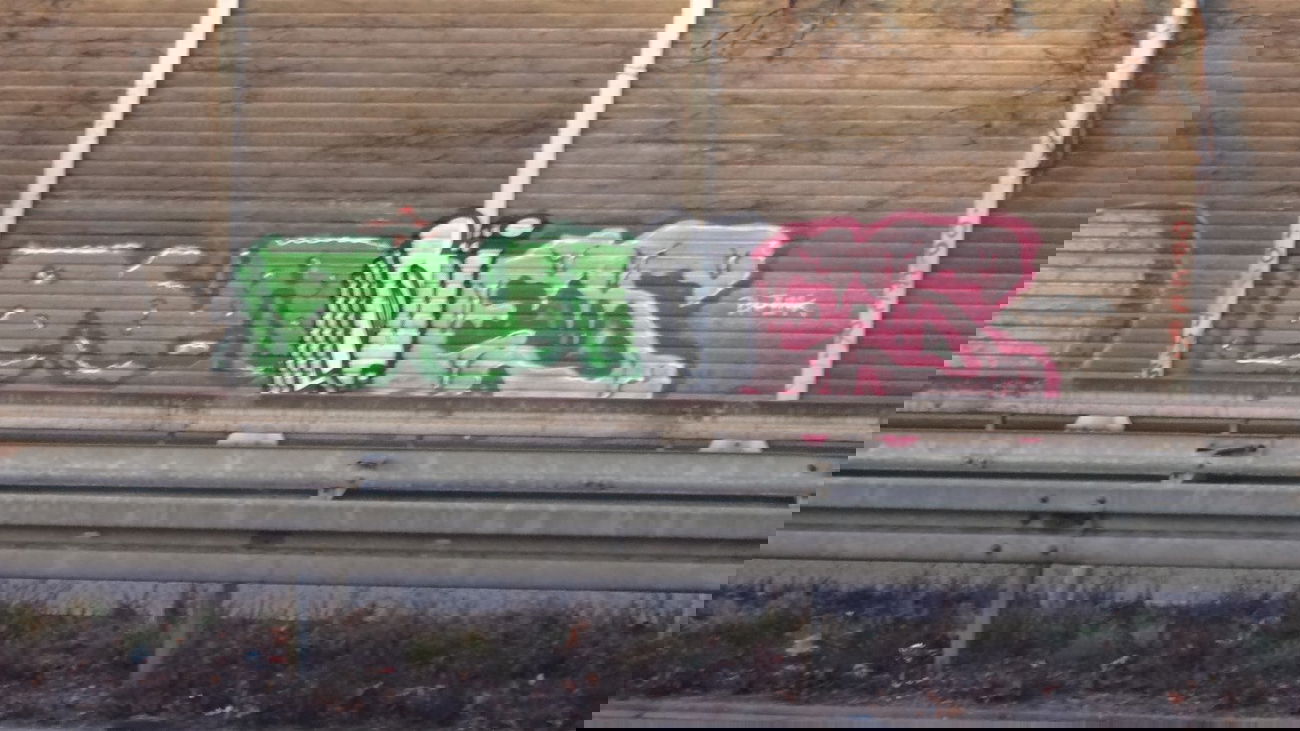 Graffiti Bombing - Photo by pimmelpirat