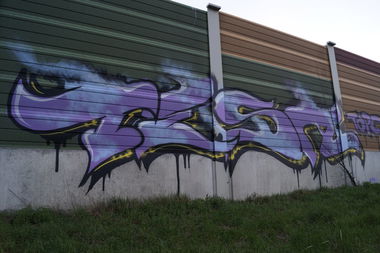 Graffiti Bombing - Photo by pimmelpirat
