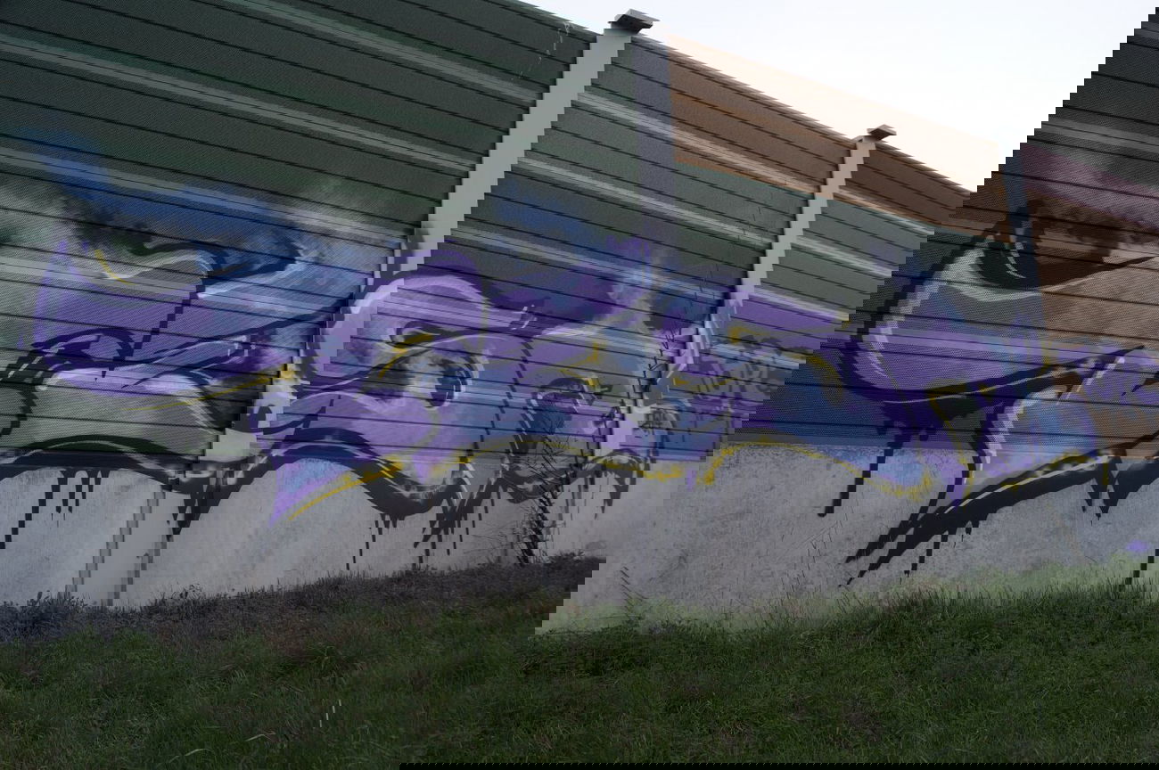 Graffiti Bombing - Photo by pimmelpirat
