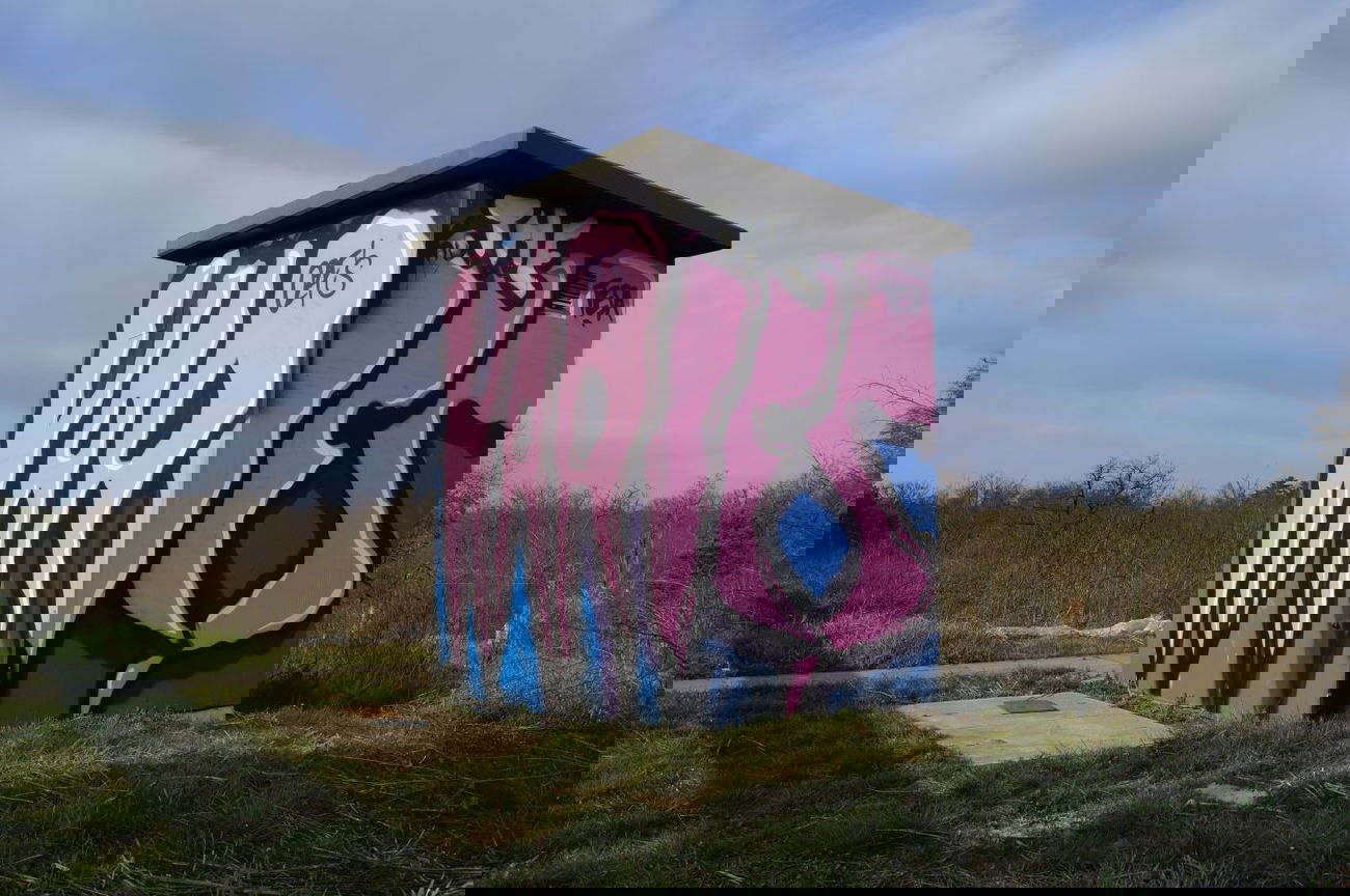 Graffiti Bombing - Photo by pimmelpirat - karies