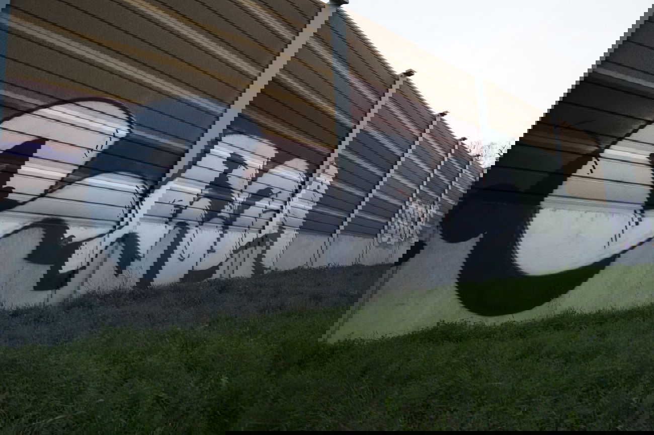 Graffiti Bombing - Photo by pimmelpirat