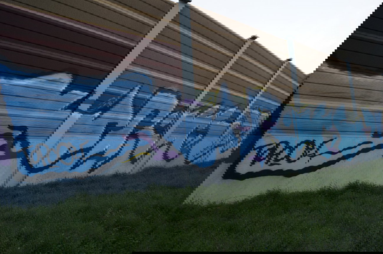 Graffiti Bombing - Photo by pimmelpirat - karies