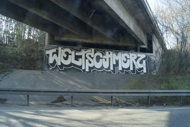 Graffiti Bombing - Photo by pimmelpirat