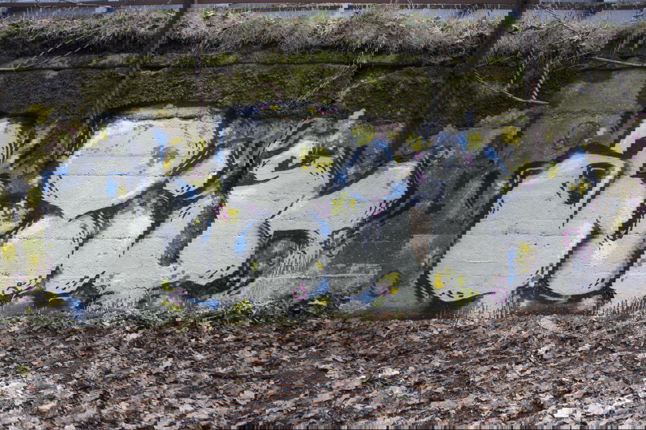 Graffiti Wall - Photo by pimmelpirat - autist