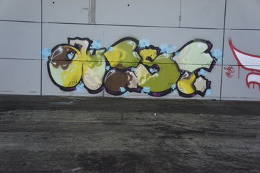 Graffiti Wall - Photo by pimmelpirat - autist