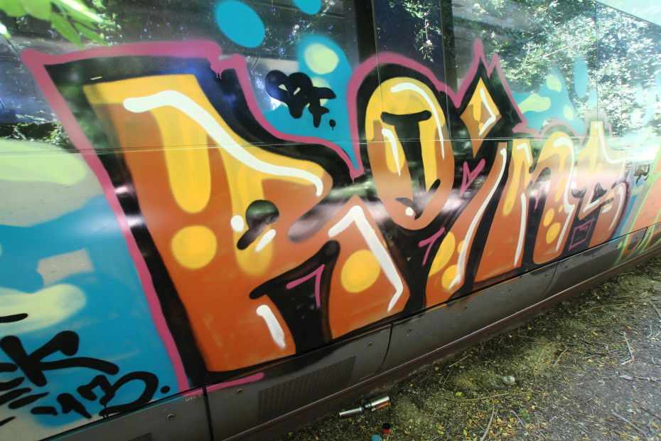 Graffiti Train in Copenhagen - Photo by plasticdopesme - train, copenhagen, denmark (2013)