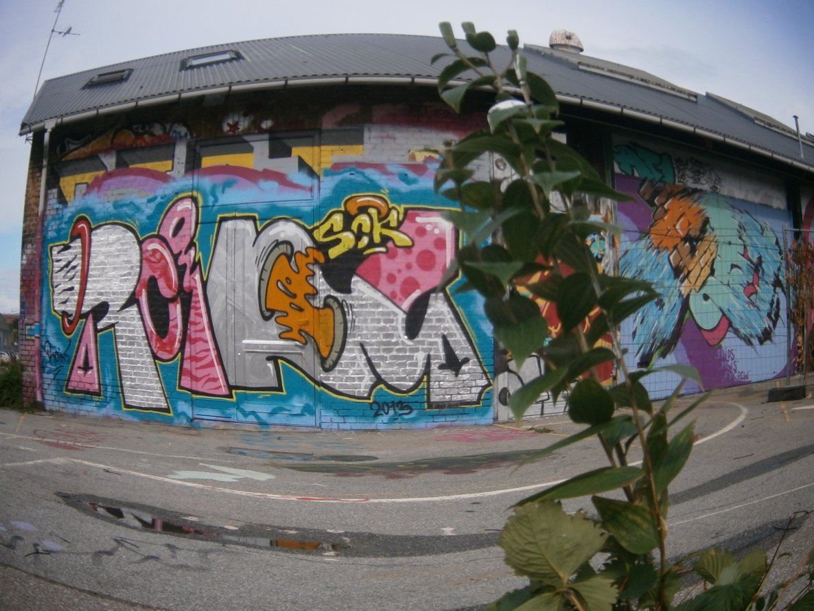 Graffiti Wall - Photo by plasticdopesme - roins, sck (2013)