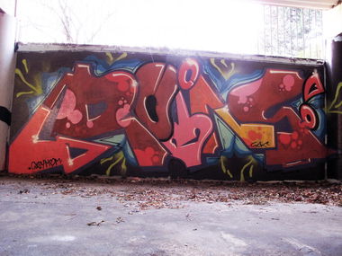 Graffiti Wall - Photo by plasticdopesme - Roins, Sck, Plast (2013)