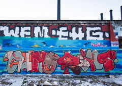 Photo #56082 by MENO