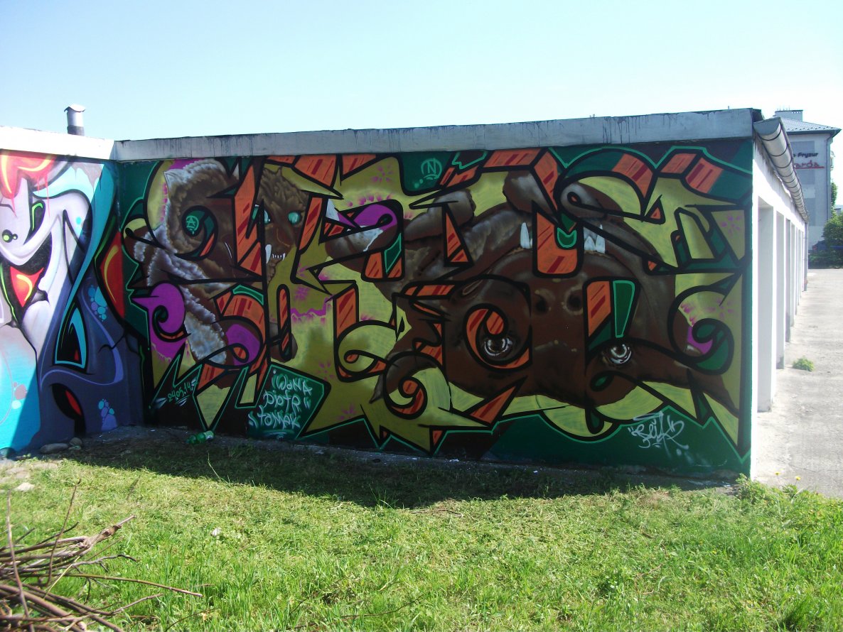 Graffiti Wall - Photo by plikone - plik (2014)