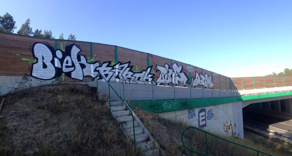 Graffiti Bombing - Photo by plusone