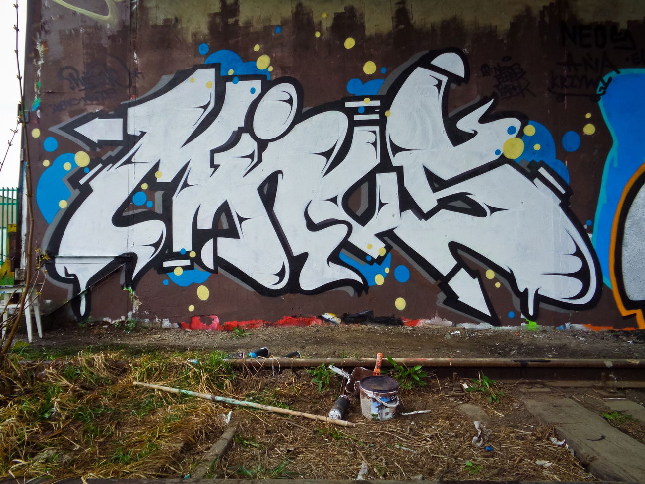 Graffiti Wall - Photo by plusone - IBS, NERDS (2016)