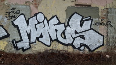 Graffiti Bombing - Photo by plusone