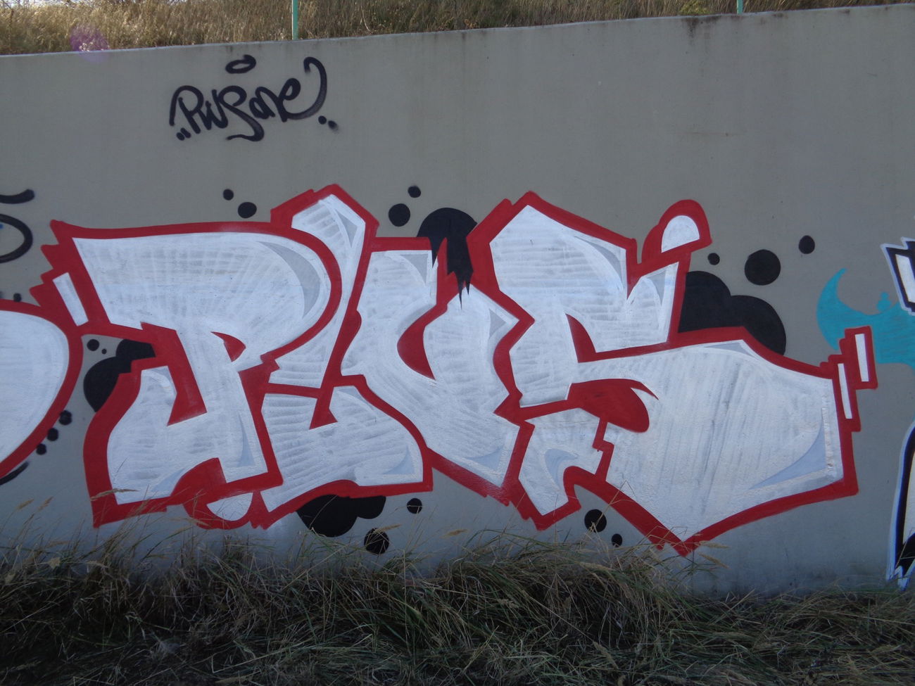 Graffiti Bombing - Photo by plusone