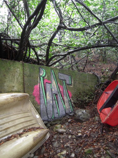 Graffiti Wall in Italy - Photo by poat