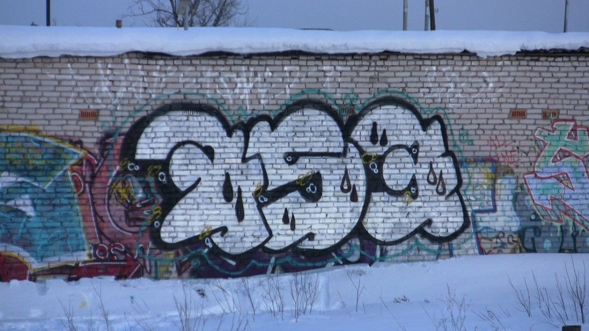 Graffiti Bombing - Photo by pocker753