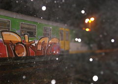 Photo #100021 by Elmooner