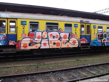 Graffiti Train - Photo by polandtrains