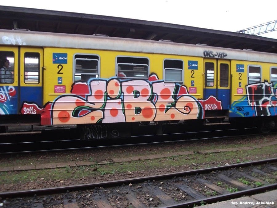 Graffiti Train - Photo by polandtrains