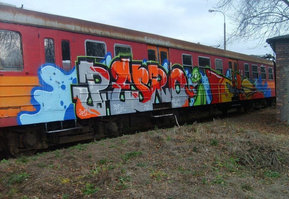 Graffiti Train - Photo by polandtrains