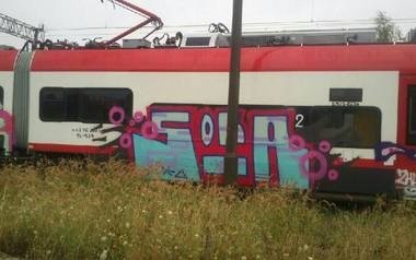 Graffiti Train - Photo by polandtrains
