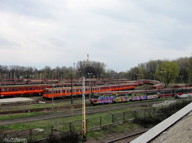 Graffiti Train - Photo by polandtrains