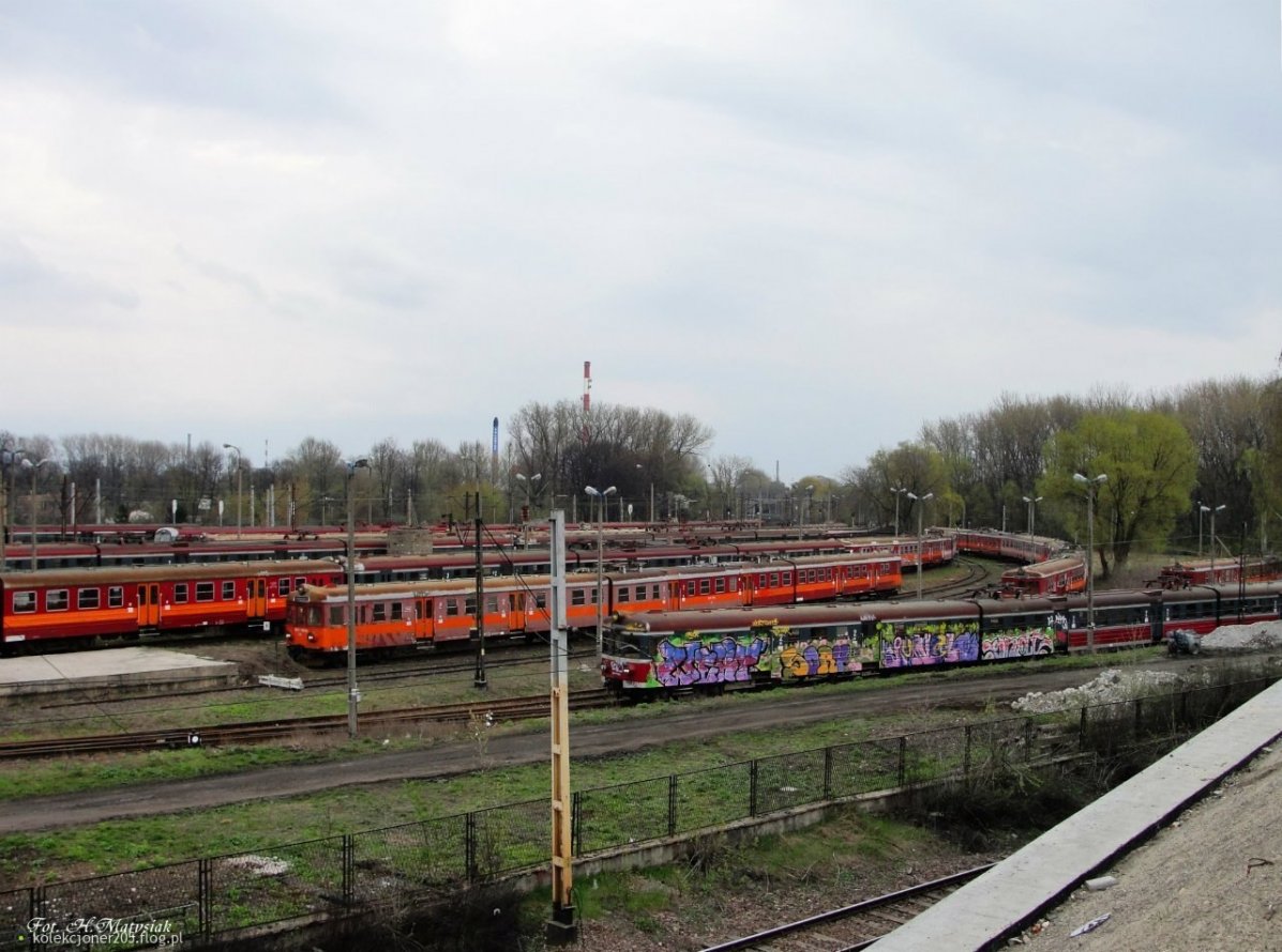Graffiti Train - Photo by polandtrains
