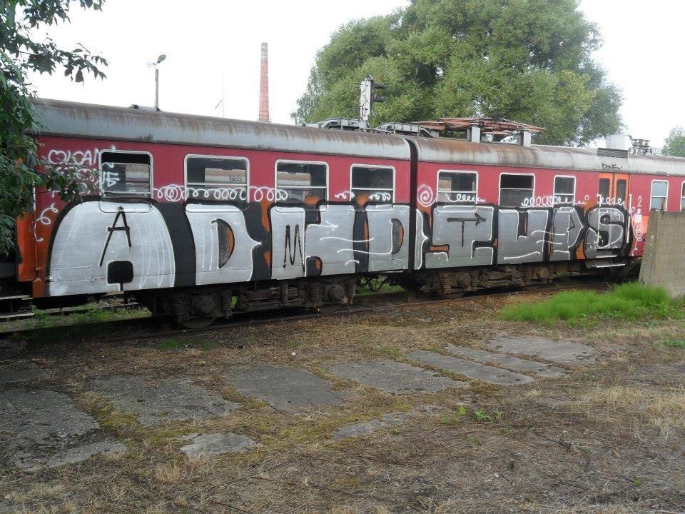 Graffiti Train - Photo by polandtrains