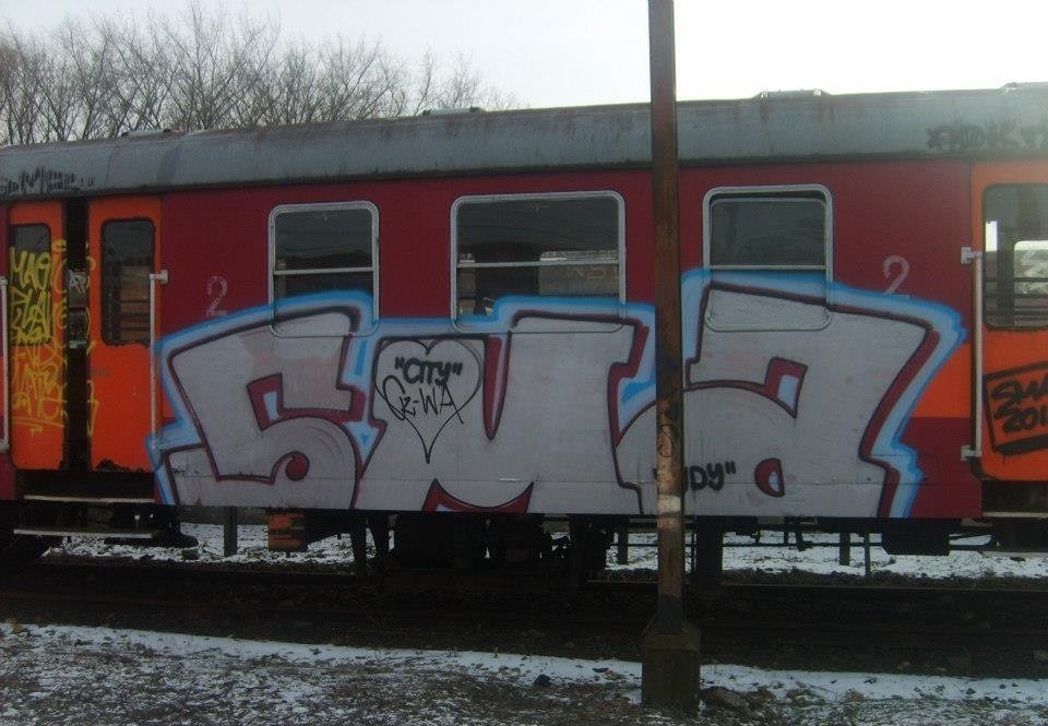 Graffiti Train - Photo by polandtrains
