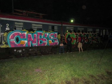Graffiti Train - Photo by polandtrains