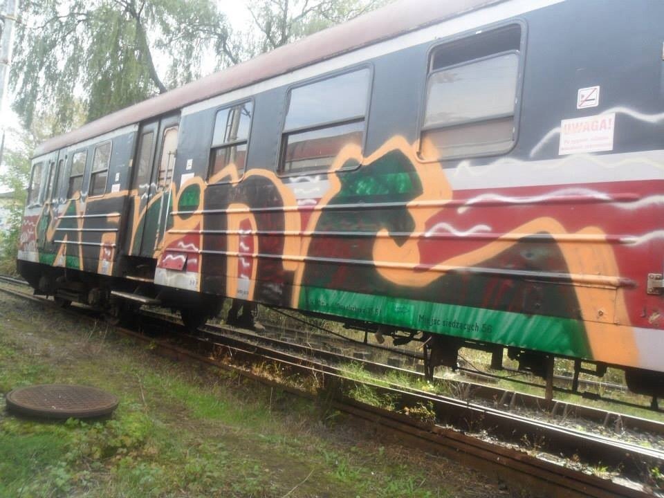 Graffiti Train - Photo by polandtrains