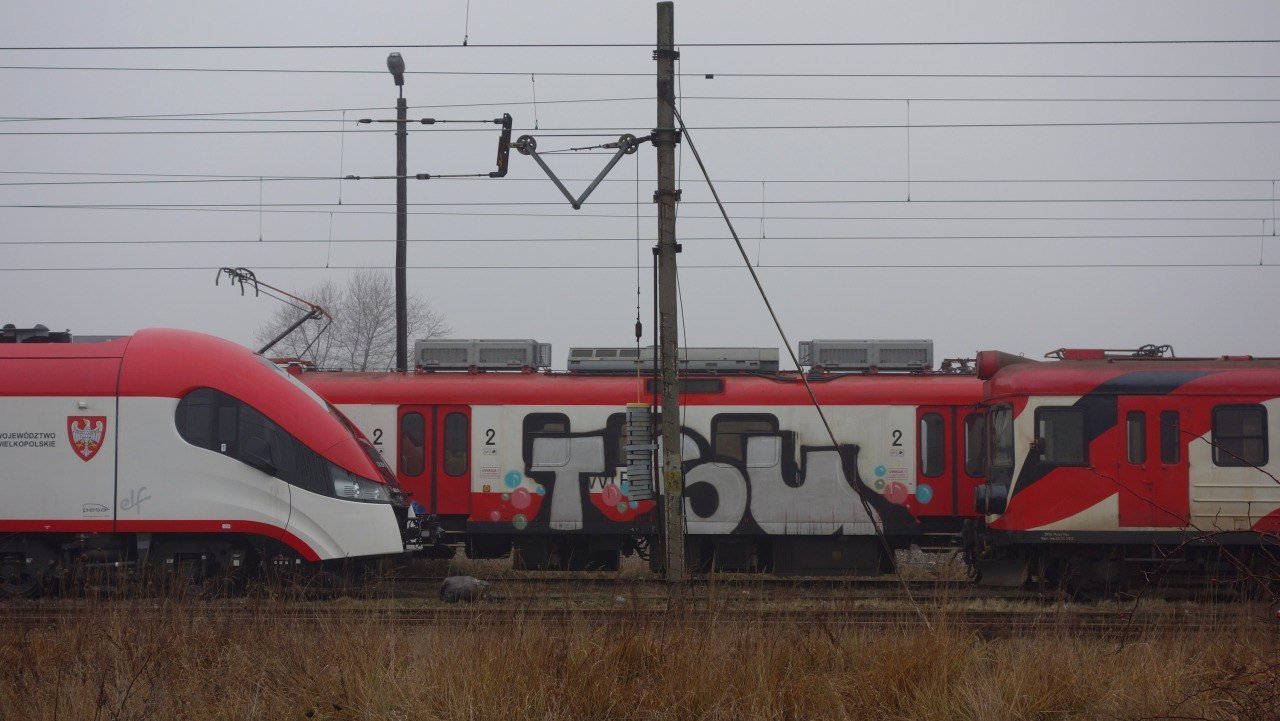 Graffiti Train - Photo by polandtrains