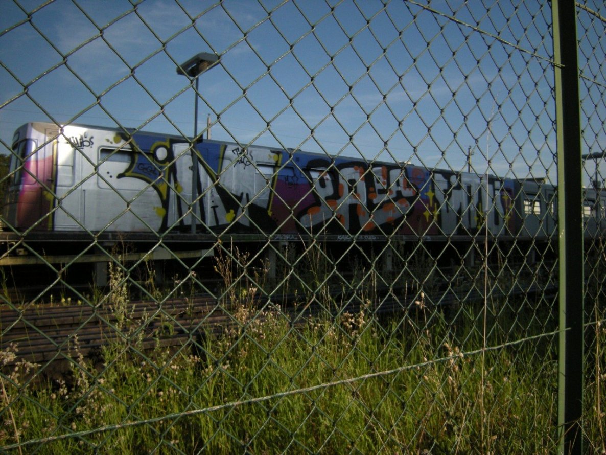 Graffiti Train - Photo by polandtrains