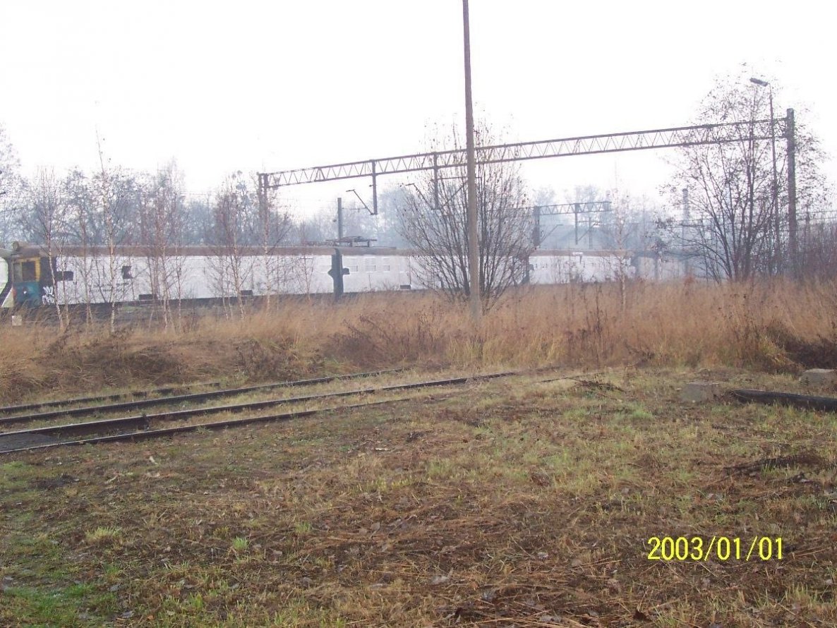 Graffiti Train - Photo by polandtrains