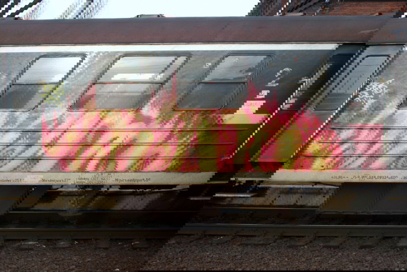 Graffiti Train - Photo by polandtrains