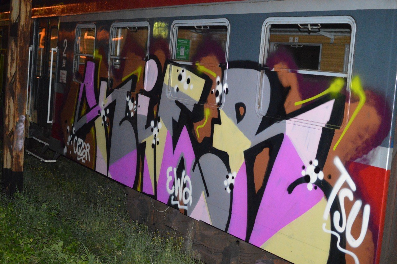 Graffiti Train - Photo by polandtrains