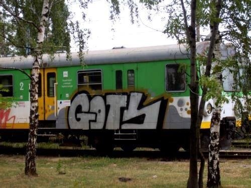 Graffiti Train - Photo by polandtrains