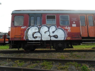 Graffiti Train - Photo by polandtrains