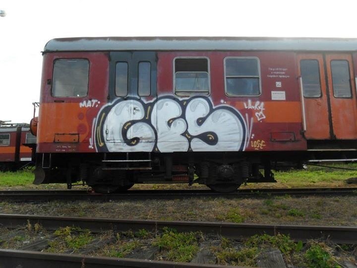 Graffiti Train - Photo by polandtrains