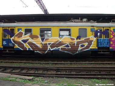 Graffiti Train - Photo by polandtrains