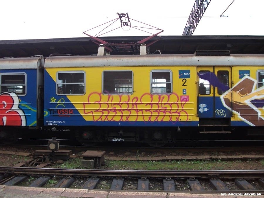 Graffiti Train - Photo by polandtrains
