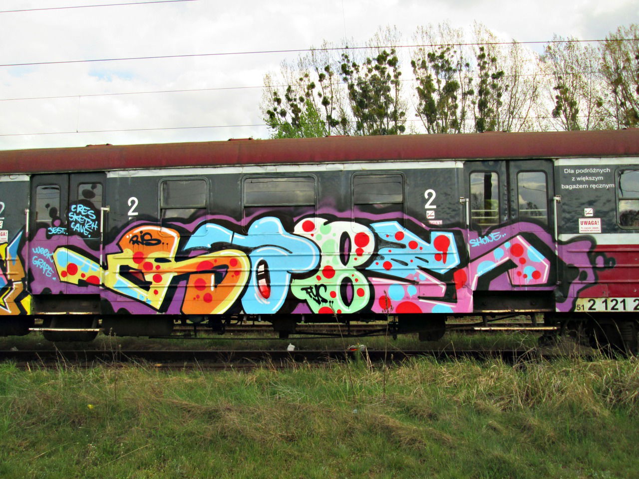 Graffiti Train - Photo by polandtrains